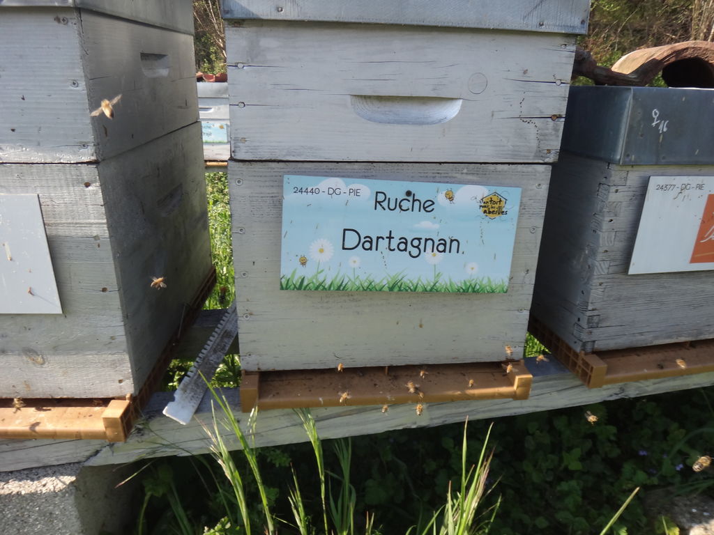 La ruche Dartagnan