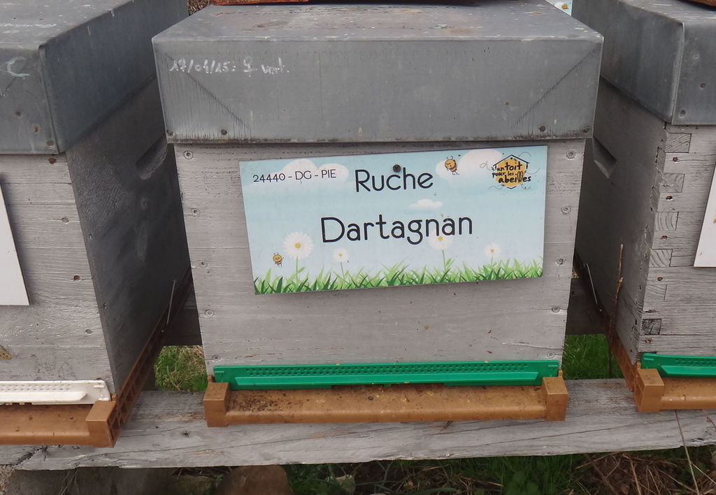 La ruche Dartagnan