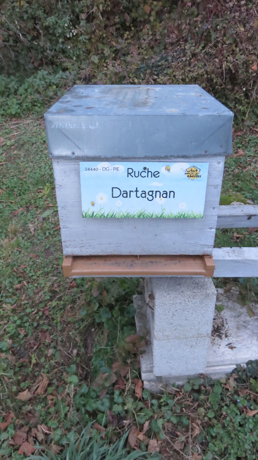 La ruche Dartagnan