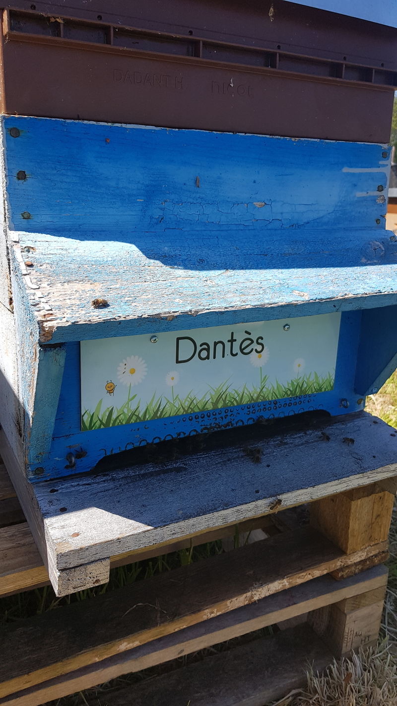 La ruche Dantès