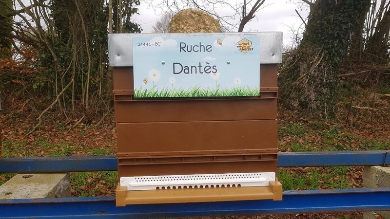 La ruche Dantès