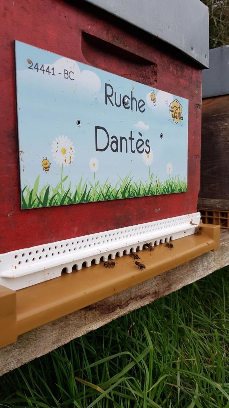 La ruche Dantès