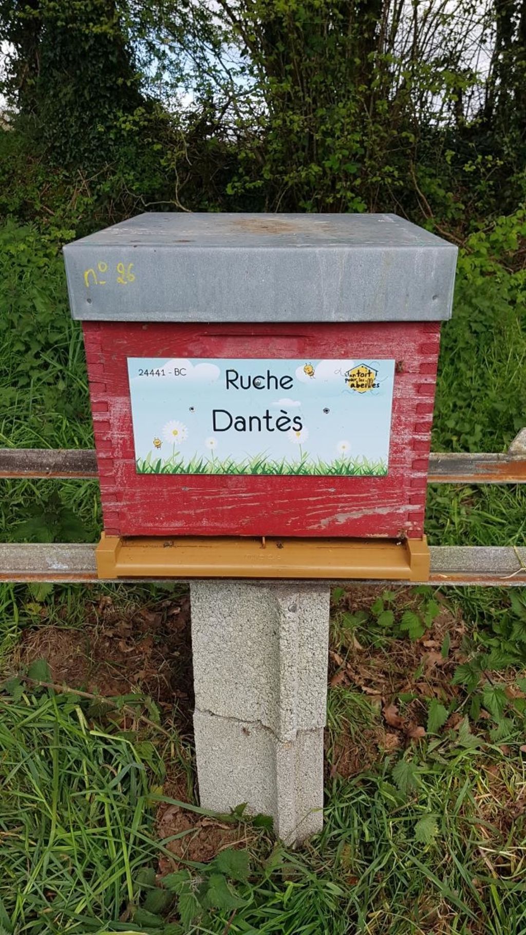 La ruche Dantès