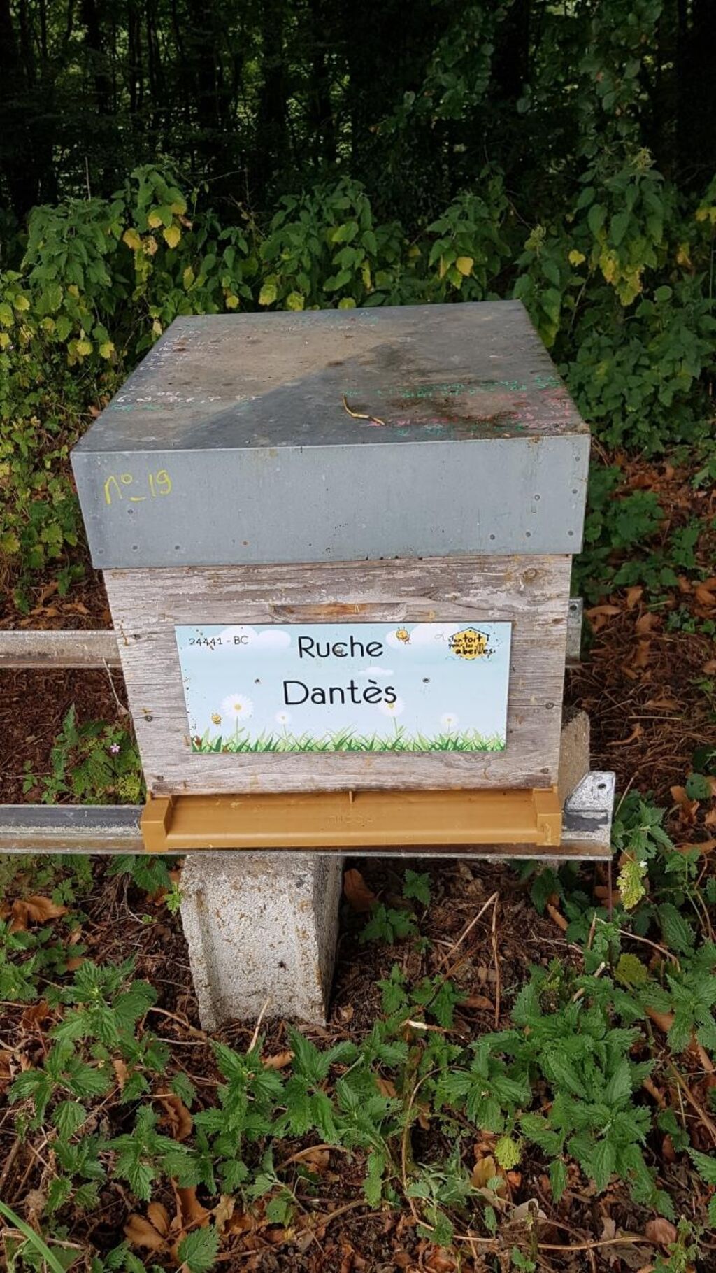 La ruche Dantès