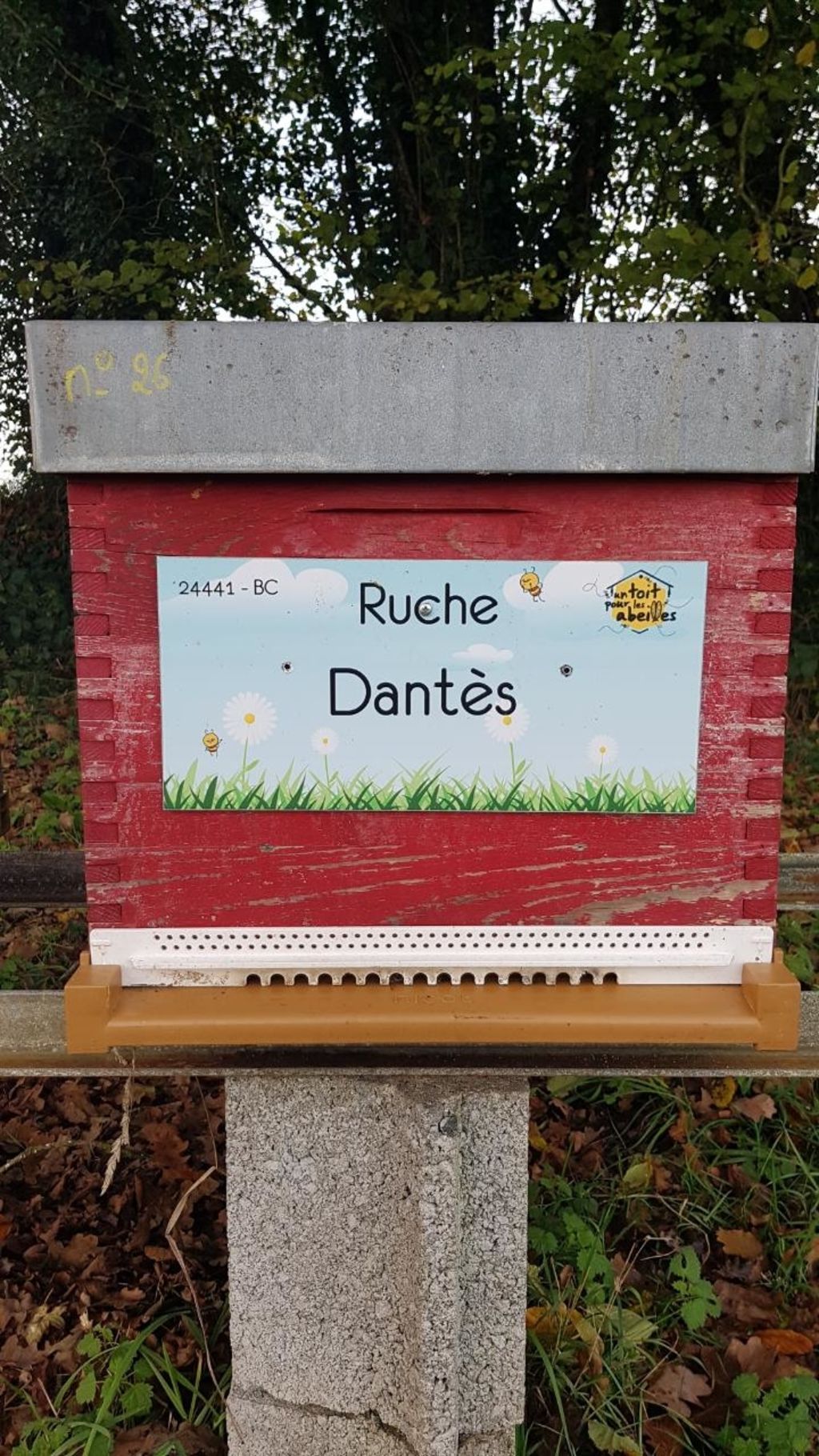 La ruche Dantès