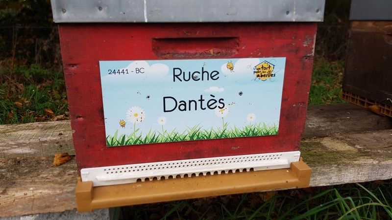 La ruche Dantès