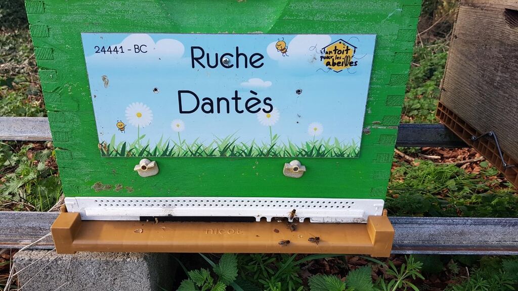 La ruche Dantès