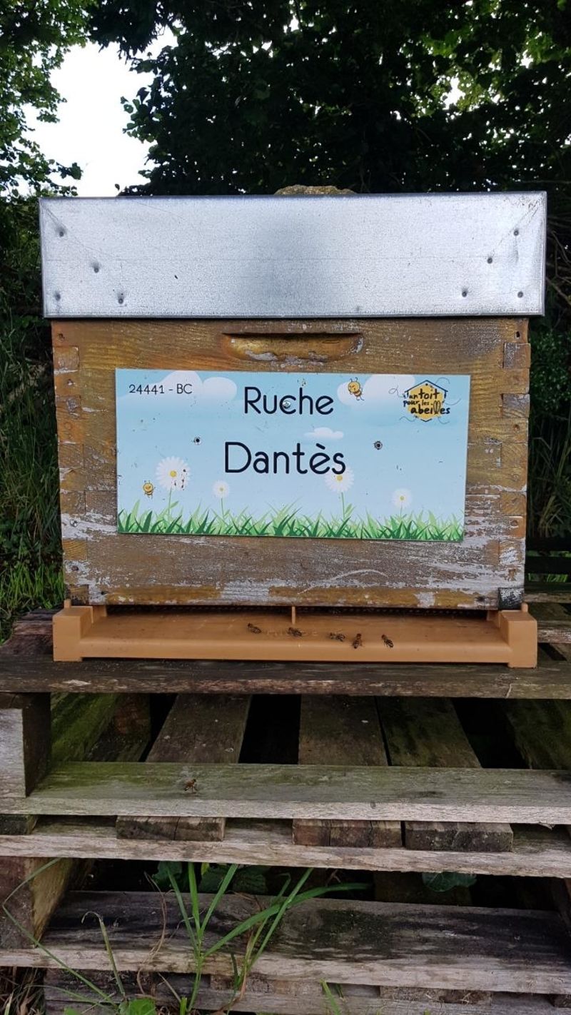 La ruche Dantès