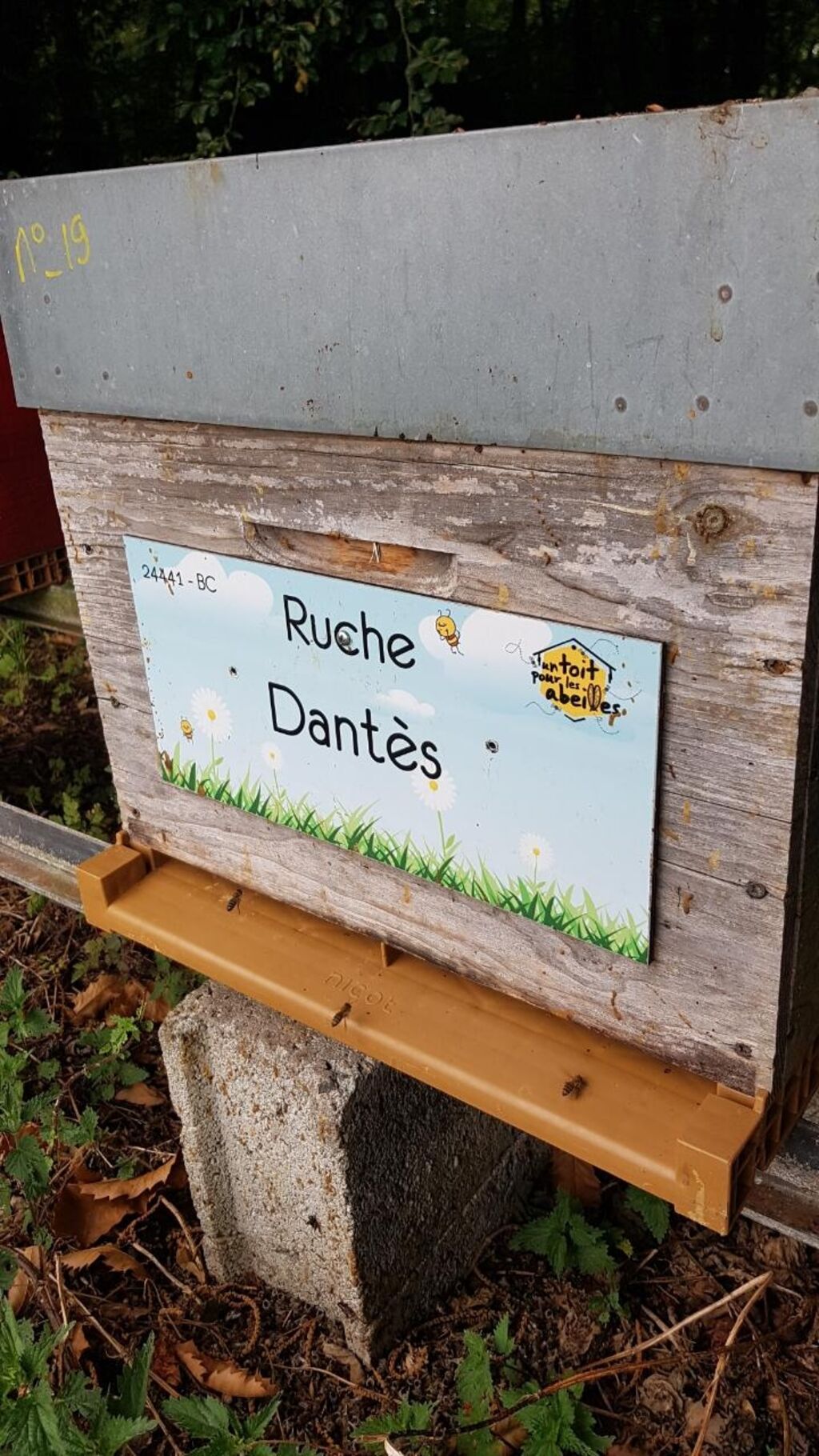 La ruche Dantès