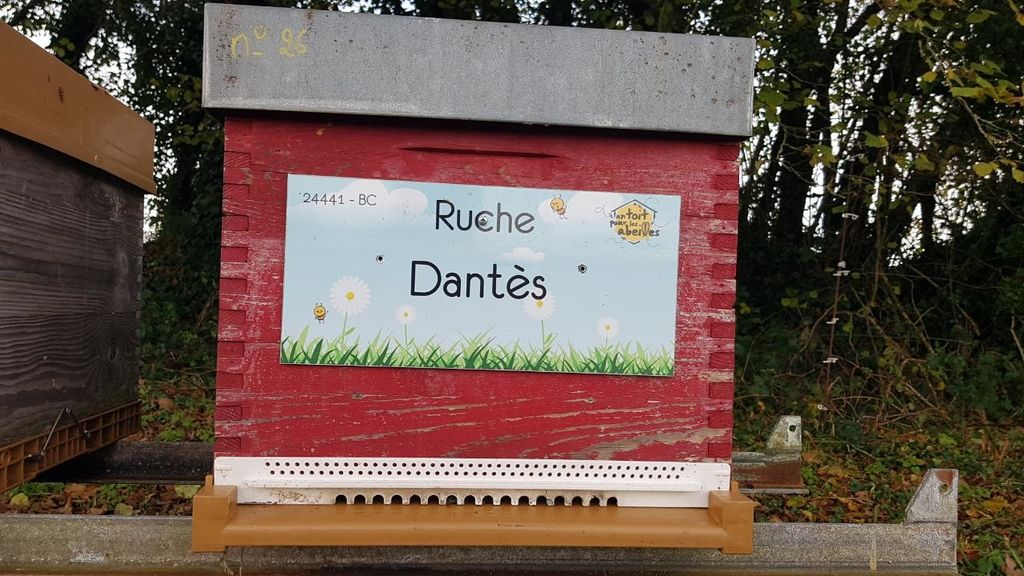 La ruche Dantès