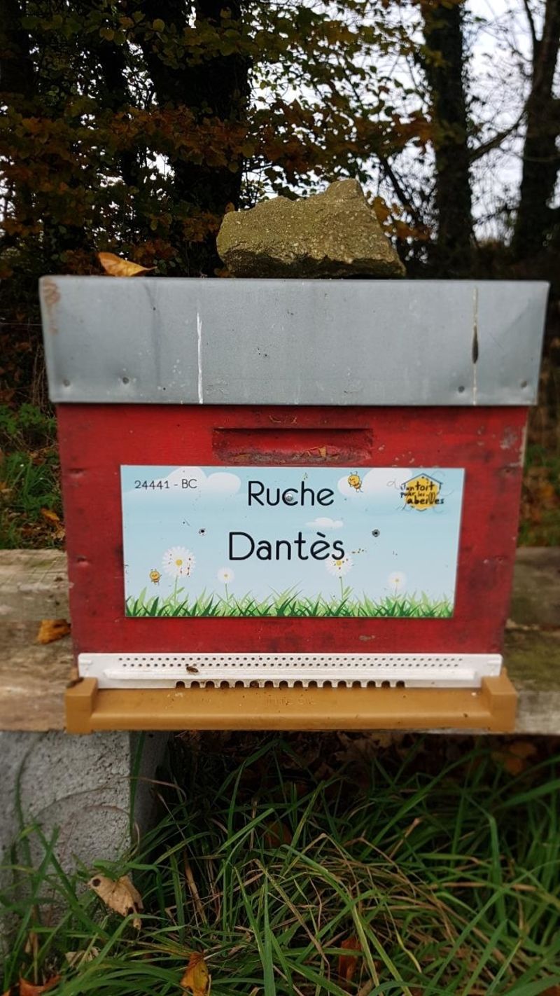 La ruche Dantès