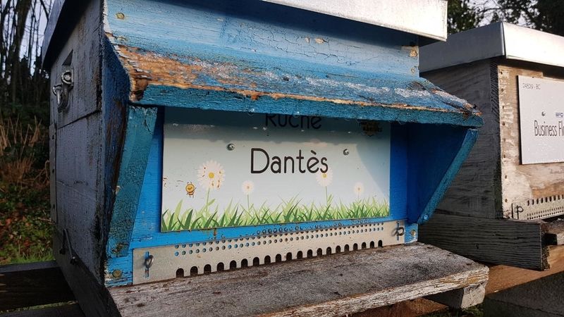 La ruche Dantès