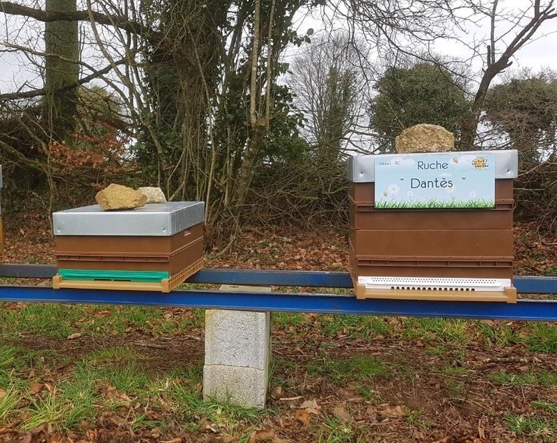 La ruche Dantès