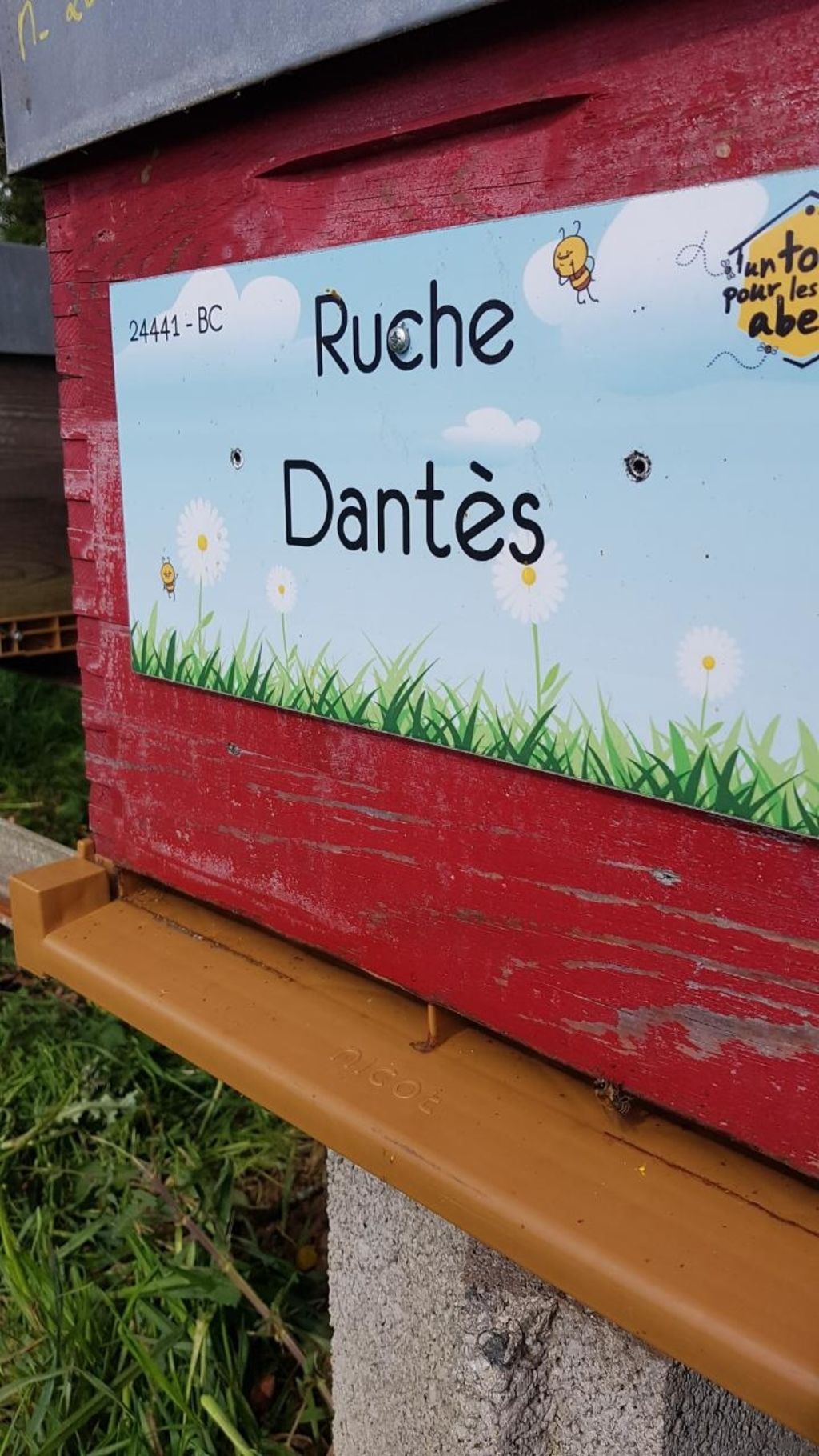 La ruche Dantès