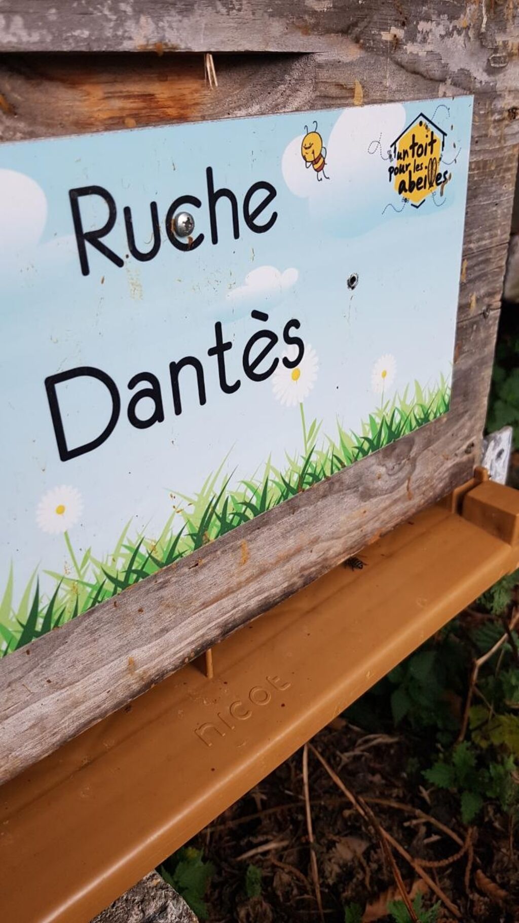 La ruche Dantès