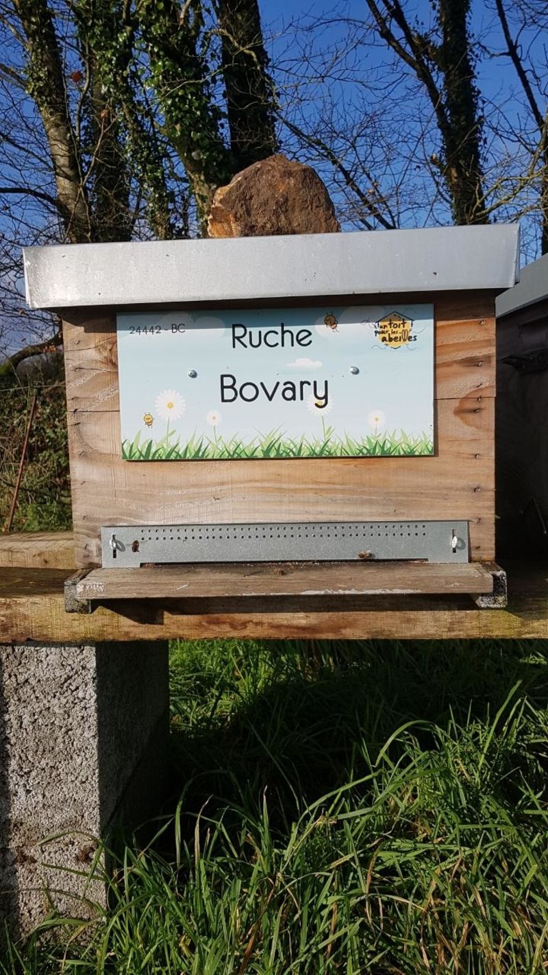 La ruche Bovary