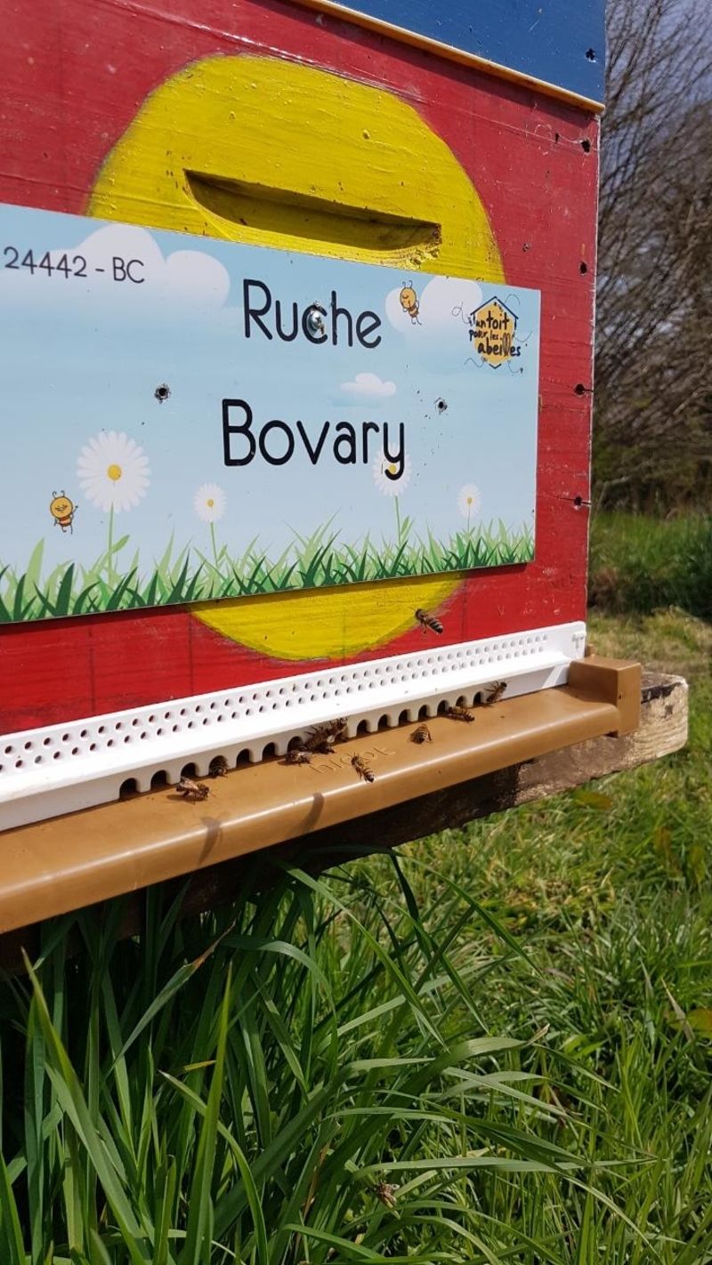 La ruche Bovary