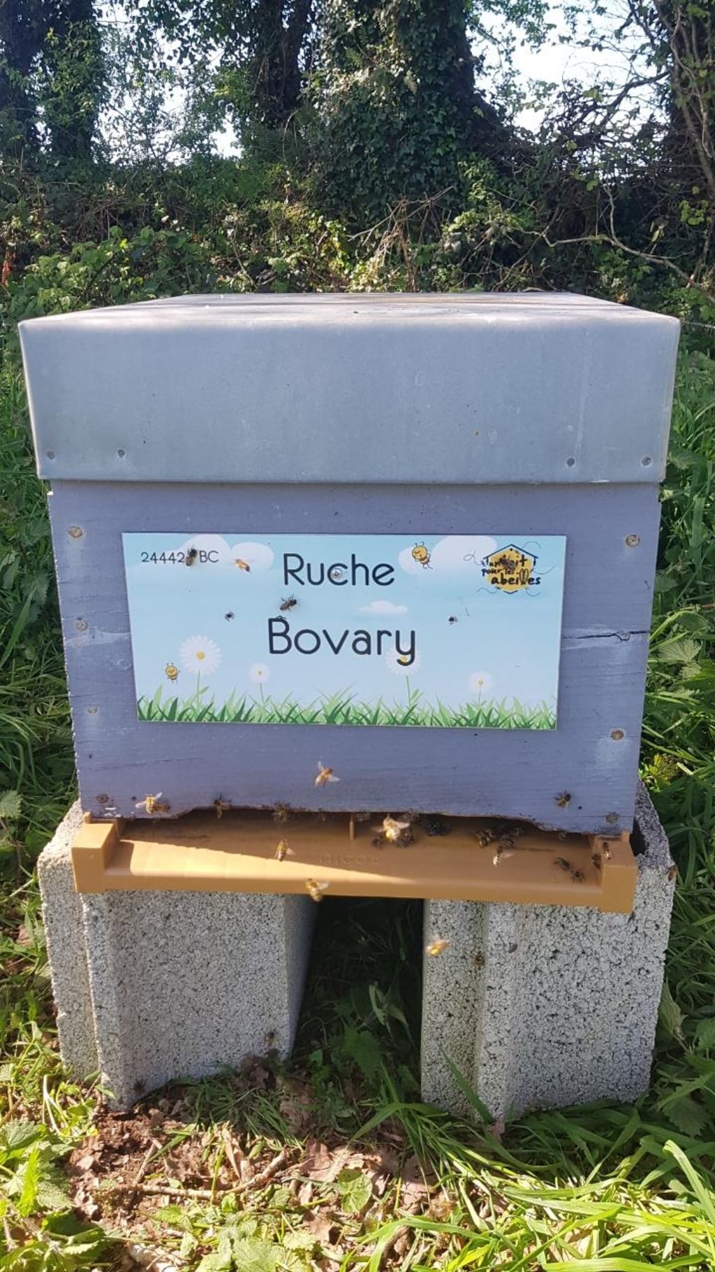 La ruche Bovary