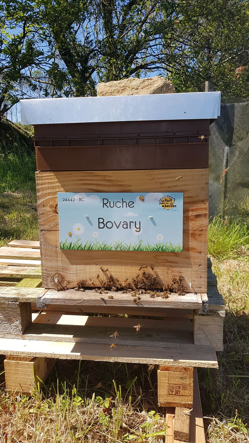 La ruche Bovary
