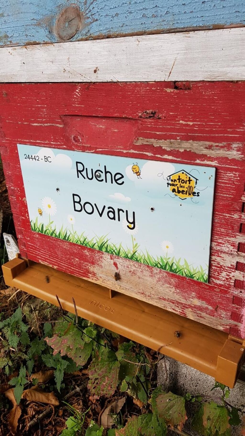 La ruche Bovary