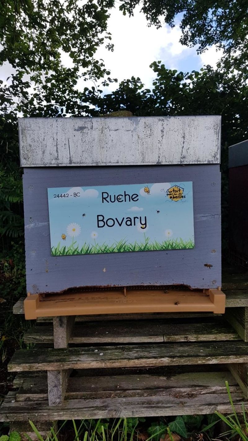 La ruche Bovary