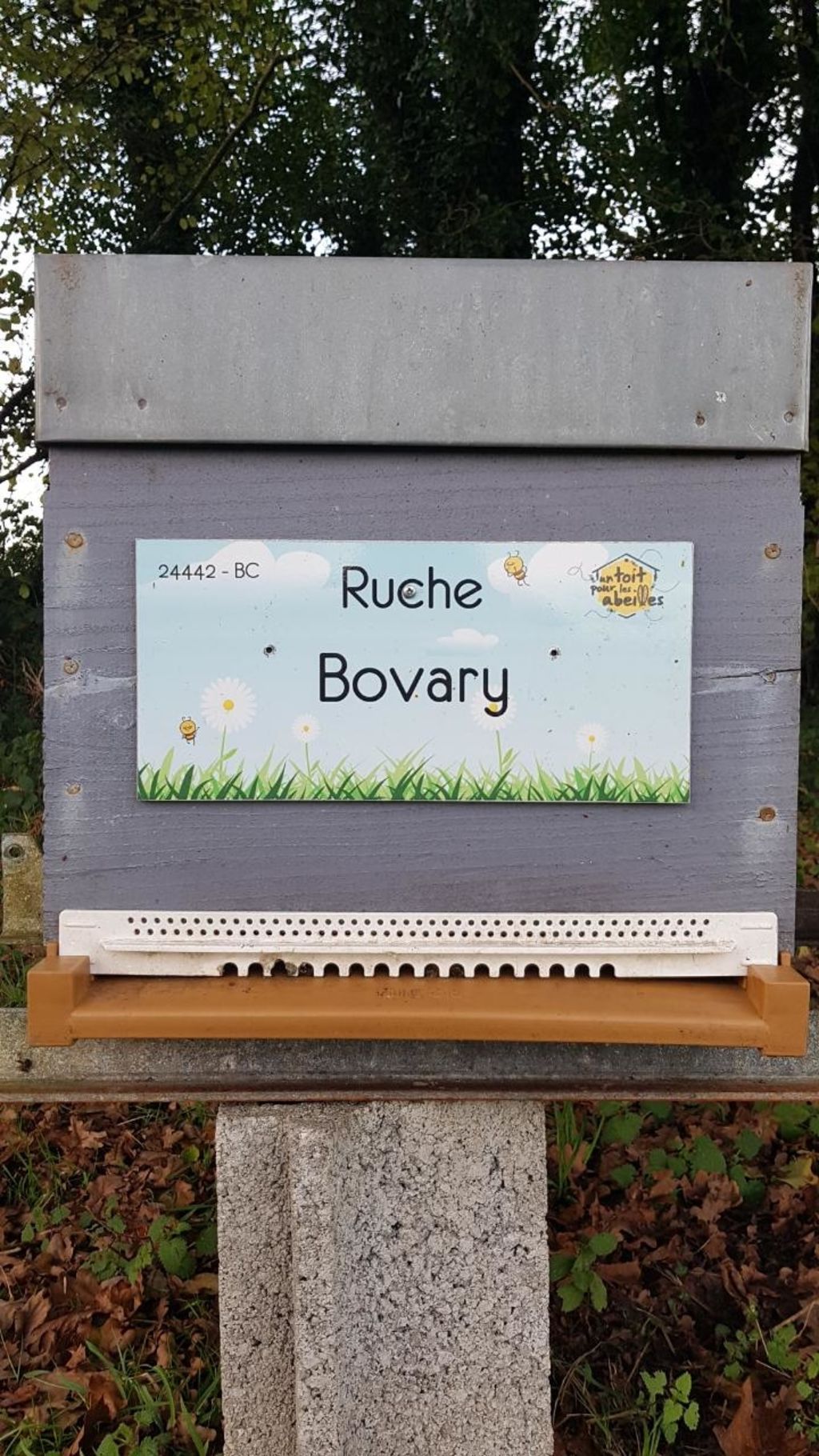 La ruche Bovary