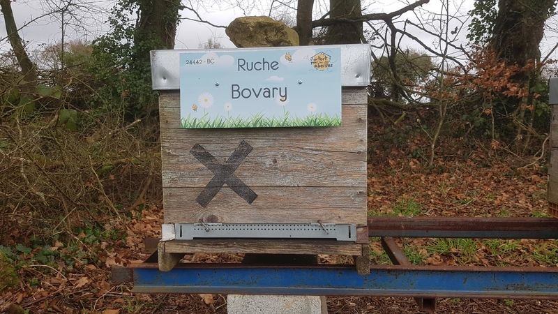 La ruche Bovary