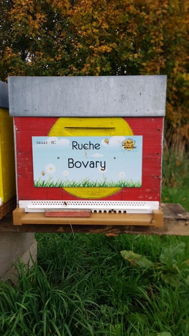 La ruche Bovary