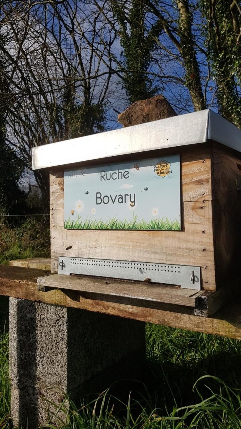 La ruche Bovary