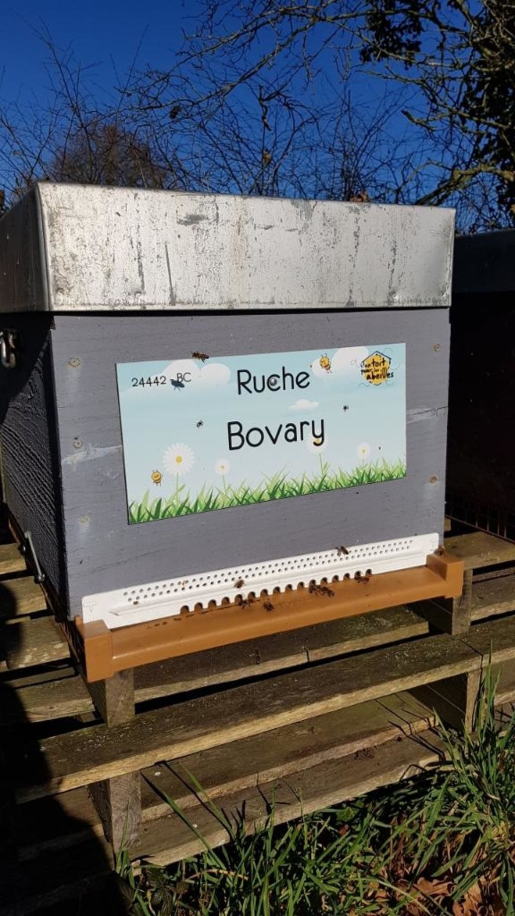 La ruche Bovary