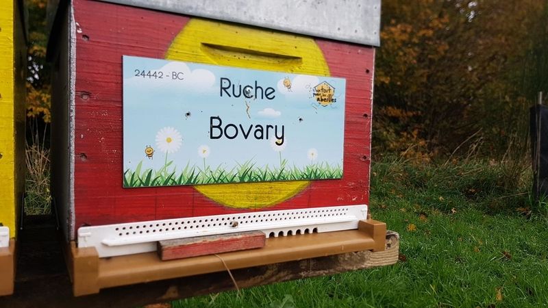 La ruche Bovary