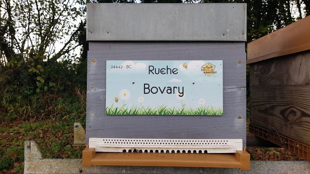 La ruche Bovary