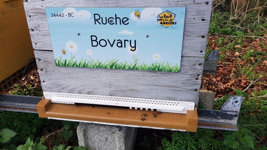 La ruche Bovary