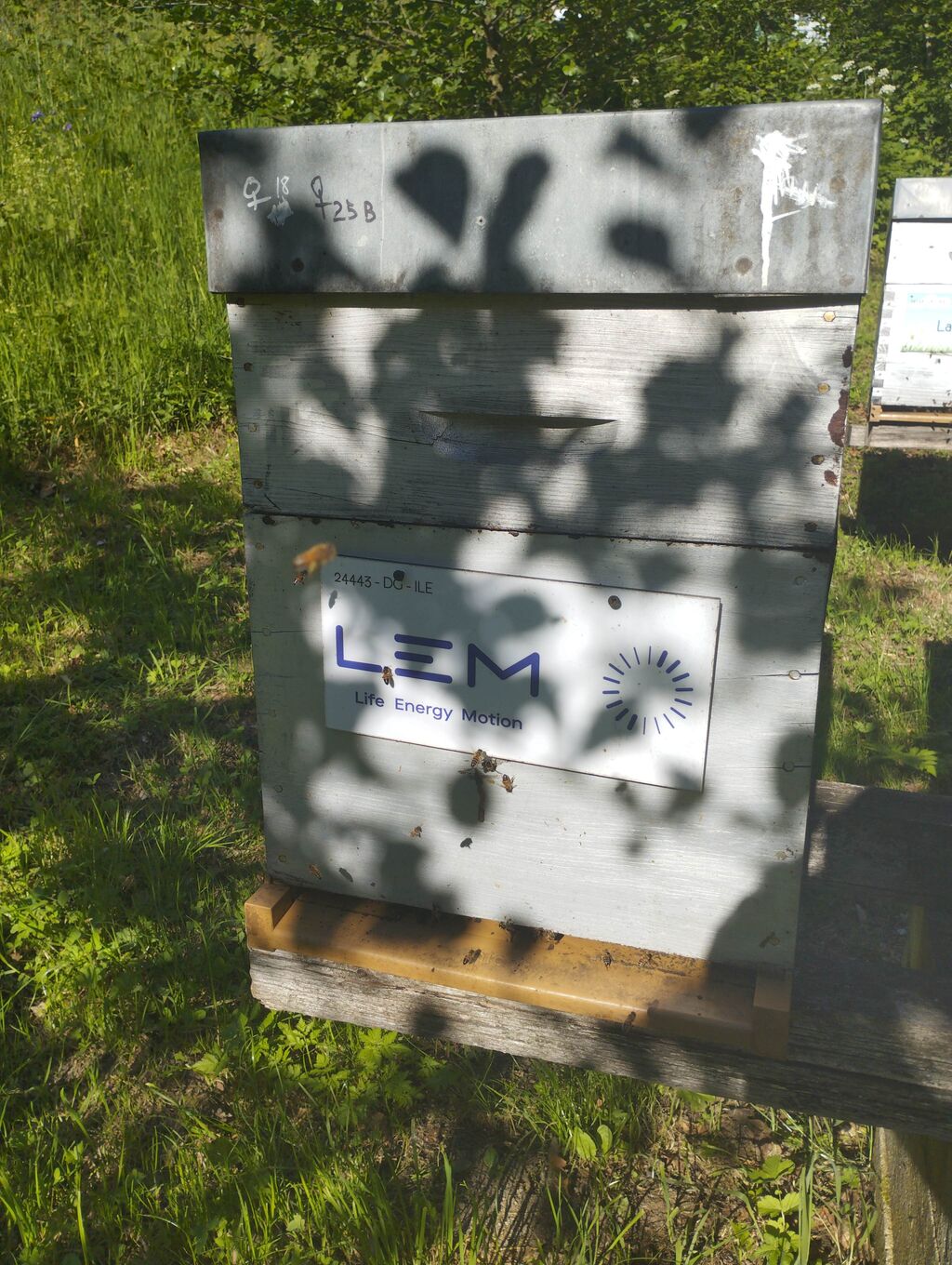 La ruche LEM Tech France SAS