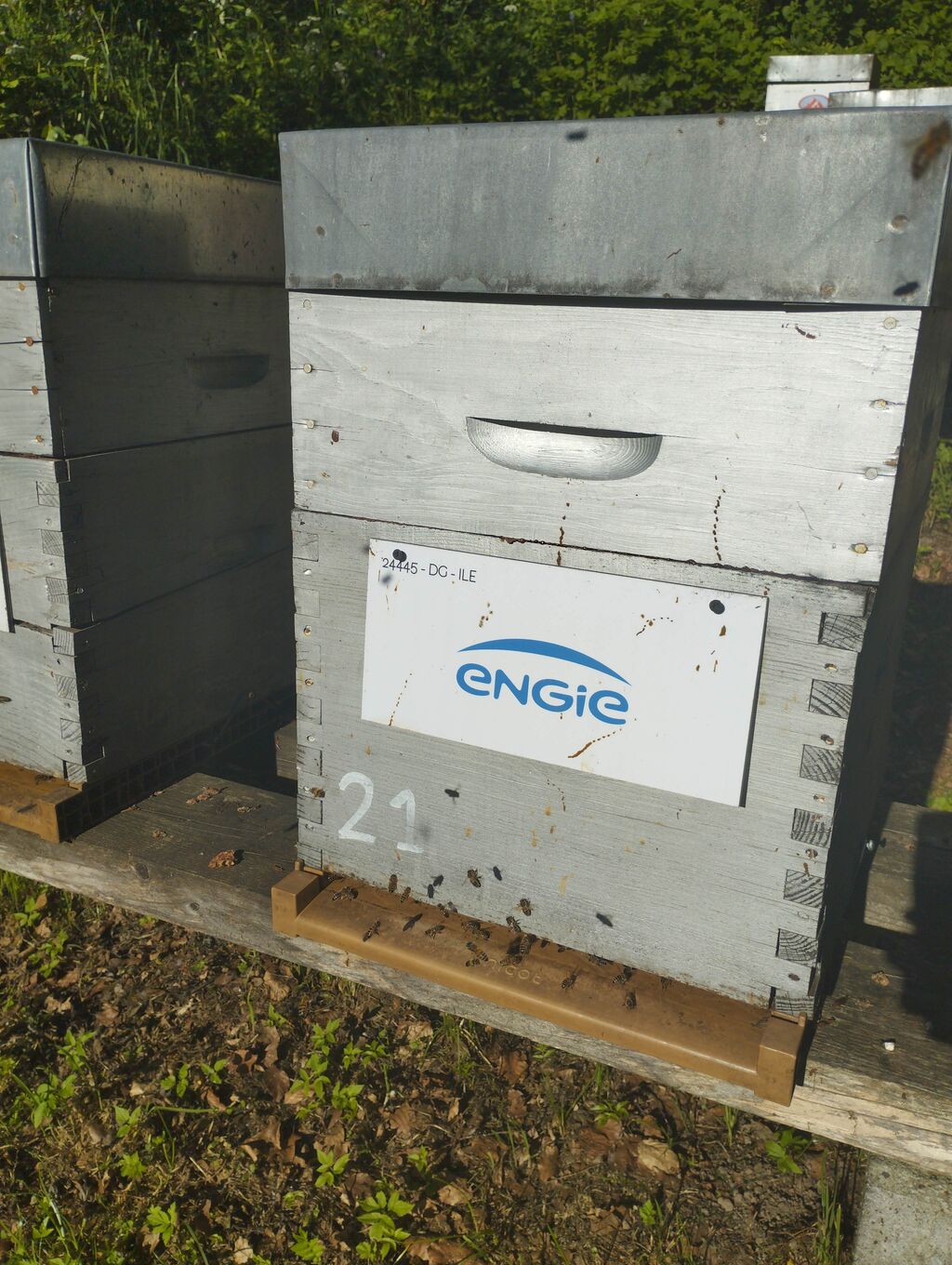 La ruche ENGIE - MPPA