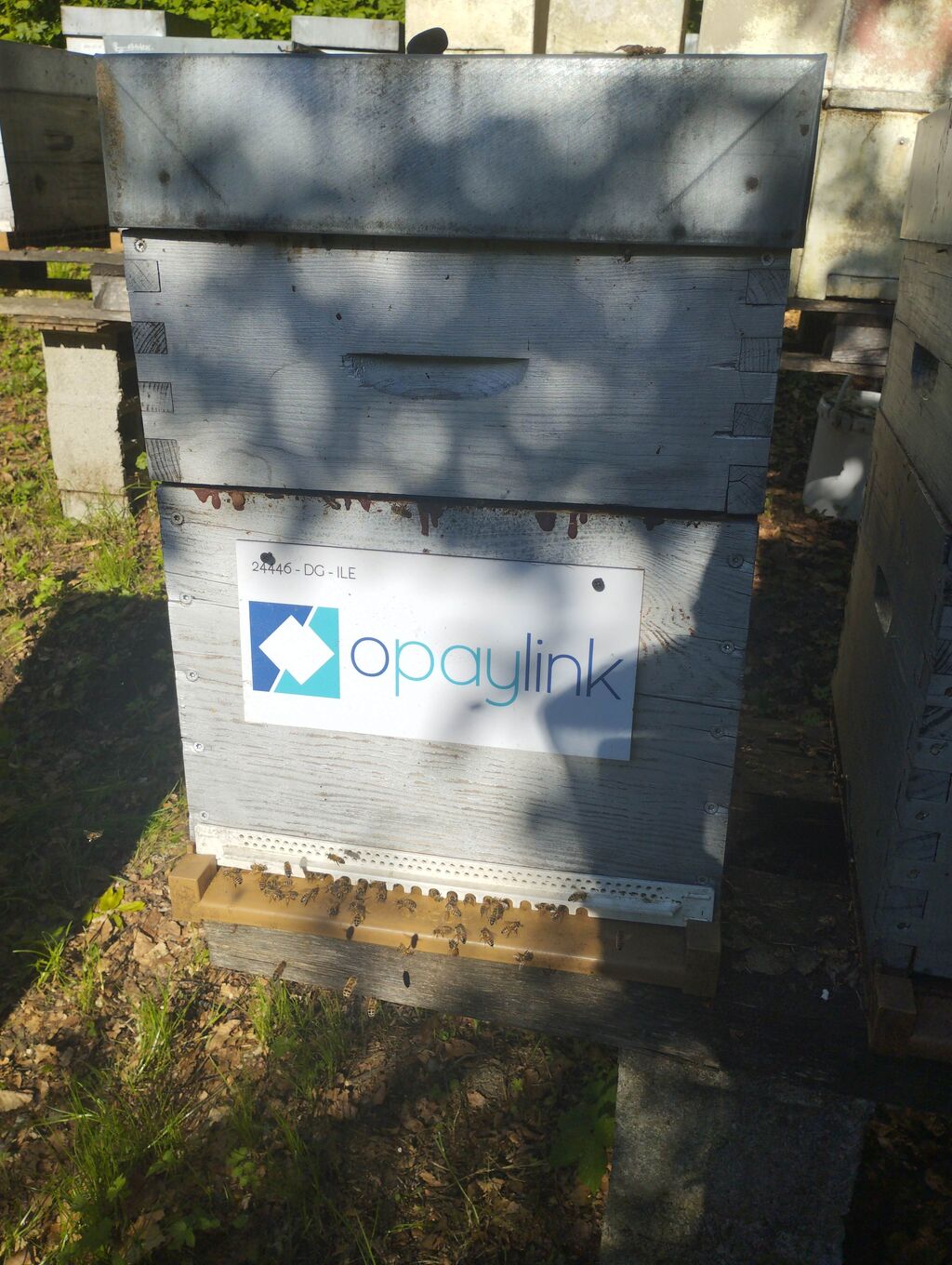 La ruche OPAYLINK