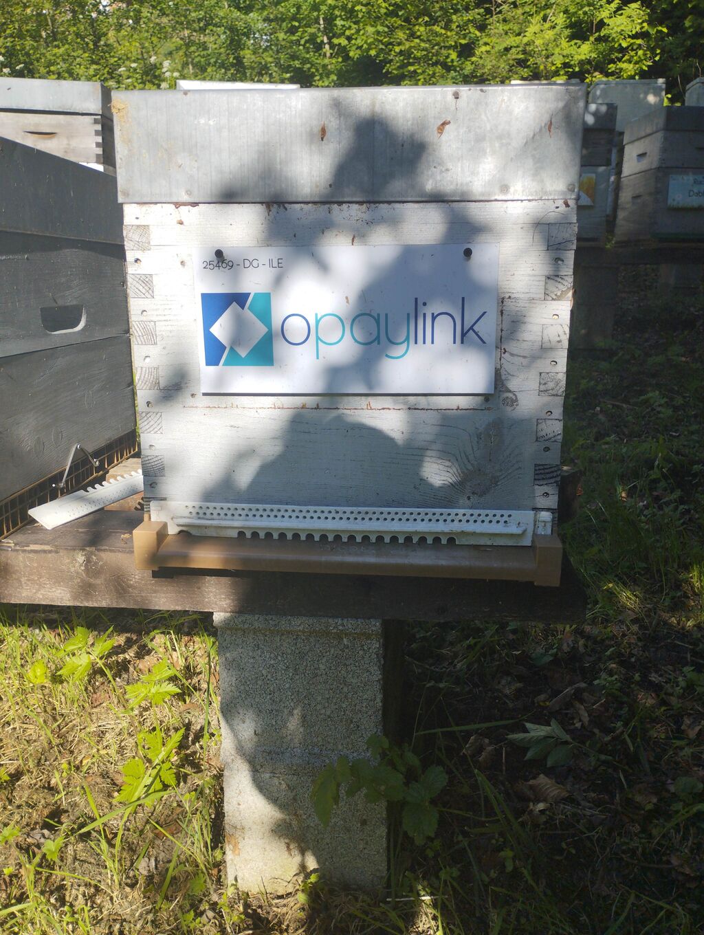 La ruche OPAYLINK