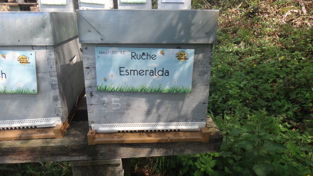 La ruche Esmeralda