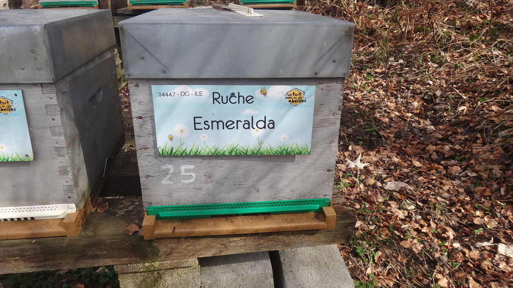 La ruche Esmeralda