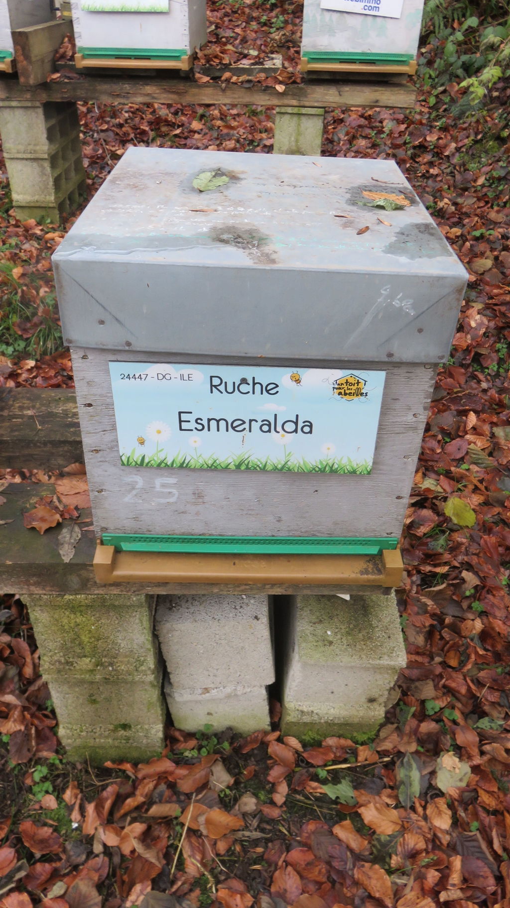 La ruche Esmeralda