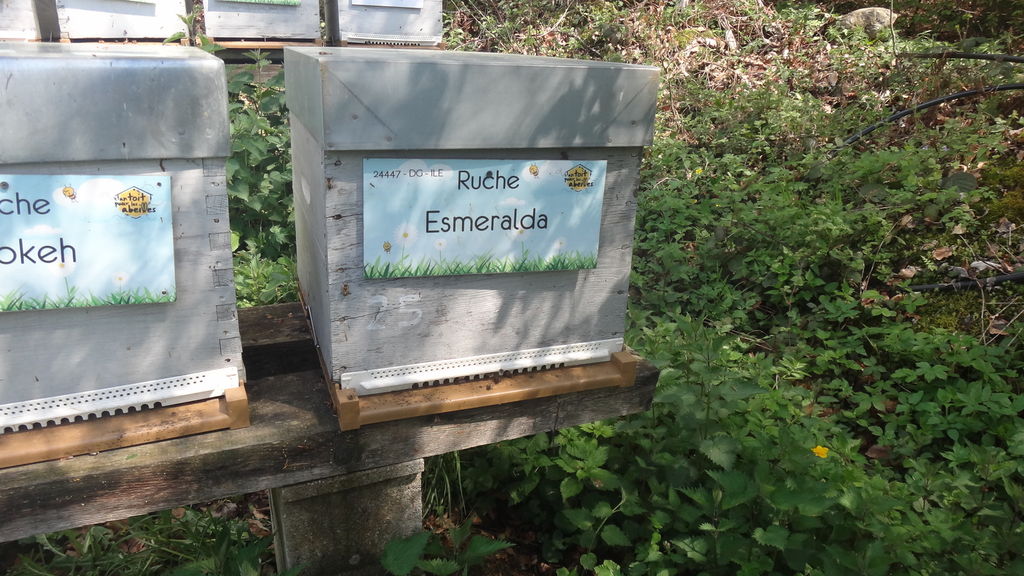 La ruche Esmeralda