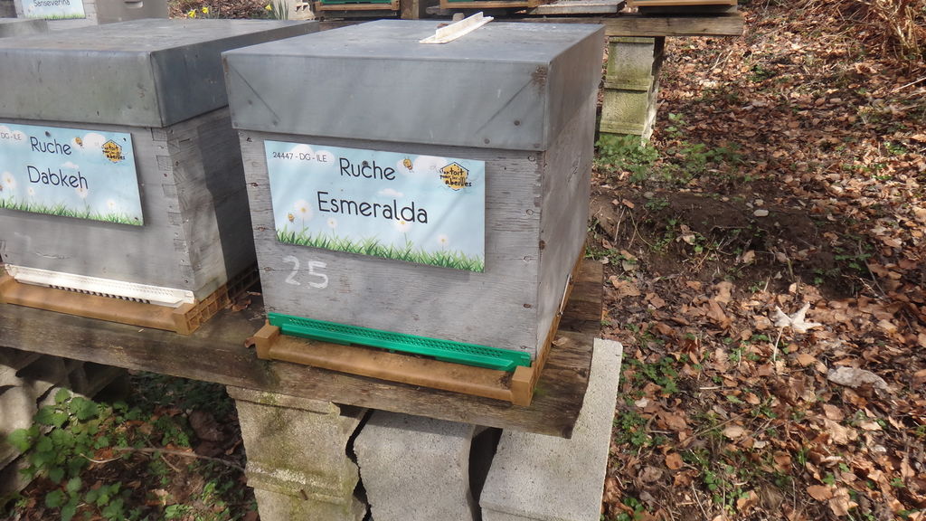 La ruche Esmeralda