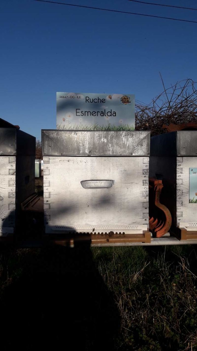 La ruche Esmeralda
