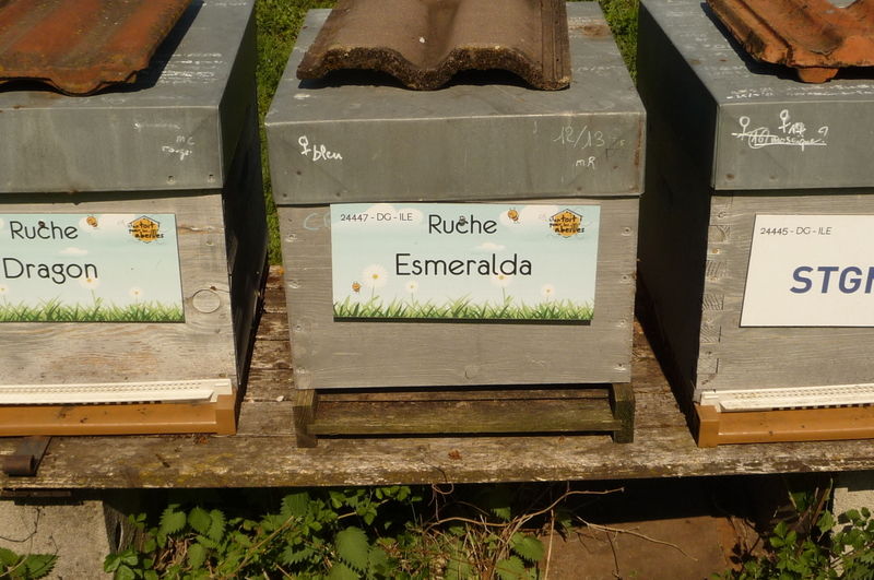 La ruche Esmeralda