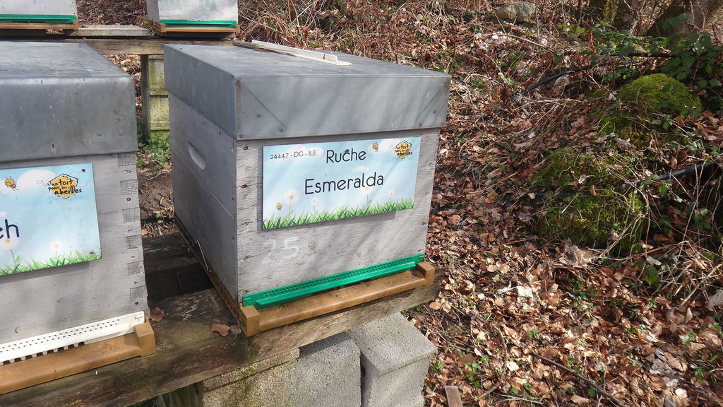 La ruche Esmeralda