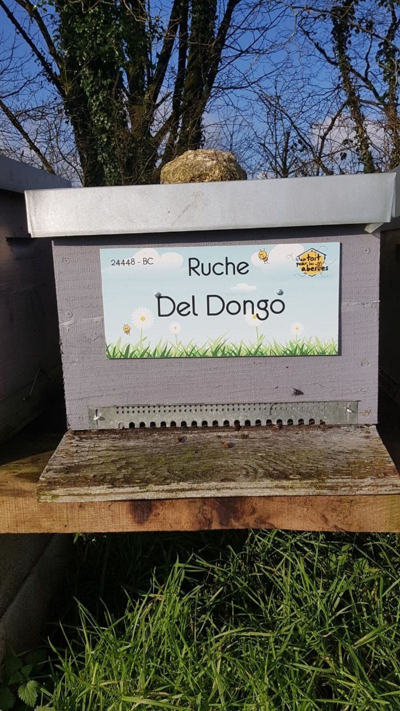 La ruche Del Dongo