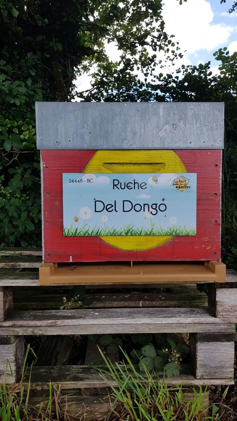 La ruche Del Dongo