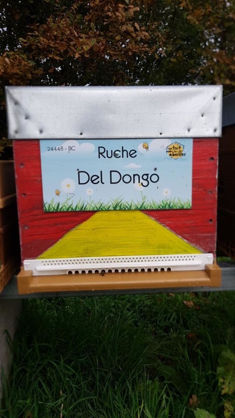 La ruche Del Dongo