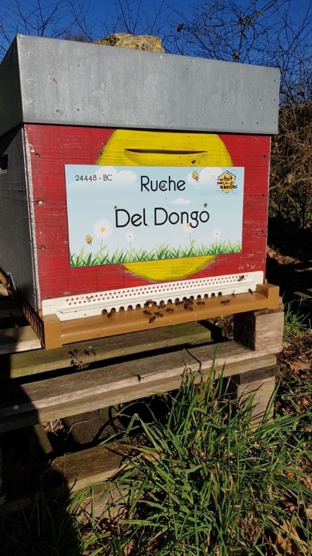 La ruche Del Dongo