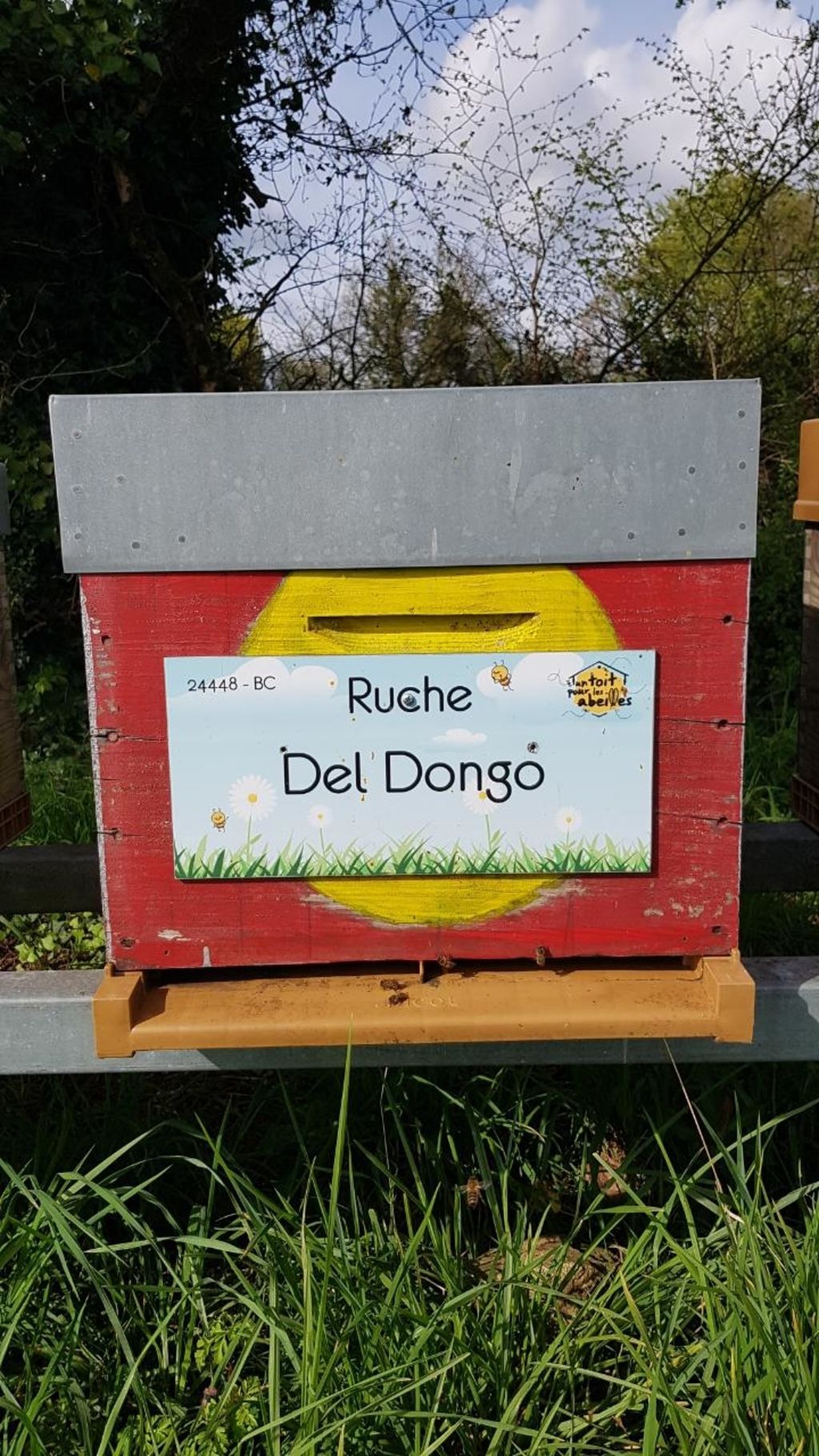 La ruche Del Dongo